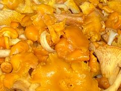 -双喜农庄·菌香园(安居家园店)