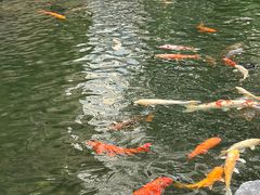 -广州花园酒店