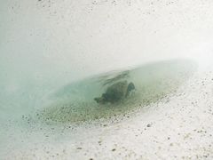 -海螺沟风景区