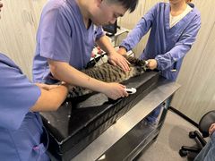 -半岛宠物医院24小时(科华中路店)