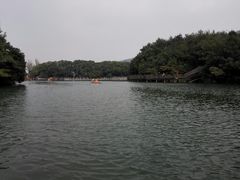 -白马涧龙池景区