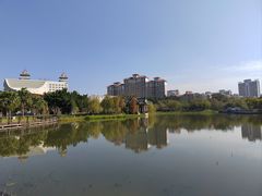 -映月湖公园
