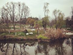 -白鹭湾湿地公园