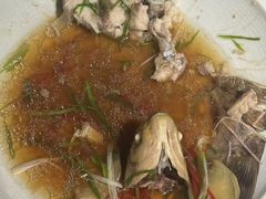-WILDS 野有食(碧坞店)