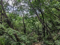 -云峰山自然风景区