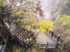 -狼牙山风景区