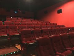 -中影嘉华国际影城(大芬星都里店)