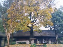 -绍兴东湖风景区