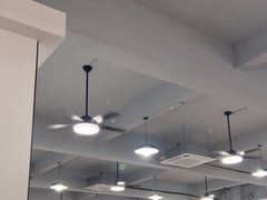 -水上鱼当家
