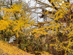 -北山街历史文化街区