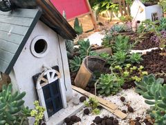 -迪茵湖田家舍生态农场