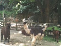 -昆明动物园