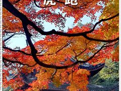 -虎跑公园