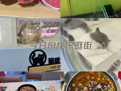 -凯德MALL(望京店)
