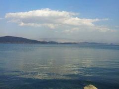 -才村湿地公园