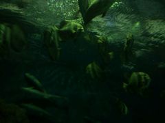 -上海海洋水族馆-停车场
