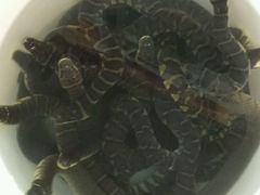 -荔城生鲜盛宴(番禺旗舰店)
