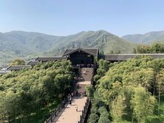 -大唐贡茶院