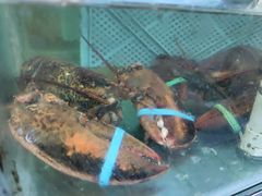 波斯顿龙虾-贺富酒家(白藤二路分店)