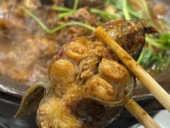 麻辣鲶鱼煲-川香煲(茅台路店)