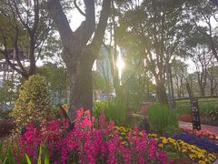 -北外滩滨江绿地