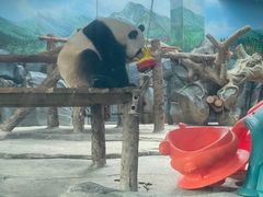 -武汉动物园