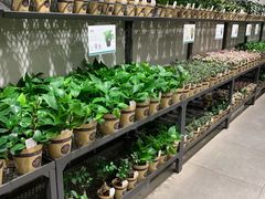 -鹿岛会员店 (龙湖三千集天街店)