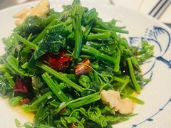 龙须菜-唐猫庭院·千年陕菜(大唐不夜城店)