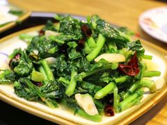 清炒油菜尖-妈妈的味道(和顺古镇店)