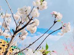-观澜湖生态运动公社