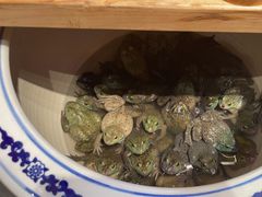 -鸽子窝(黄村店)
