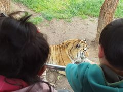 -西安秦岭野生动物园