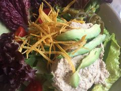 -Cactus墨西哥仙人掌餐厅