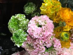 -沙野轻食(静安寺店)