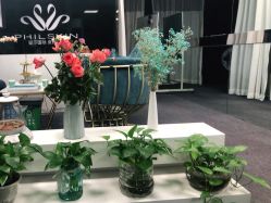 -斐尔国际皮肤管理中心