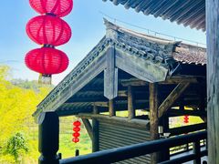 -大唐贡茶院
