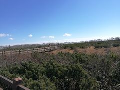 -凤凰山国家森林公园