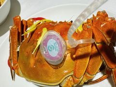 -圆苑(兴国路店)