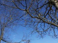 -硗碛藏寨·神木垒景区