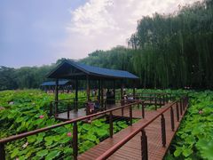 -裕华世纪公园