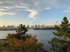 -台场海滨公园船码头