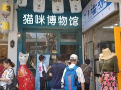 门面-猫咪博物馆(顶澳仔猫街店)