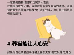 -lincat·猫舍(广州店)