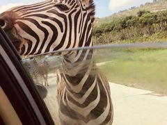 -南京金牛湖风景区