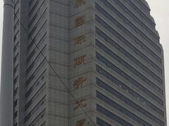 -崔勇假发