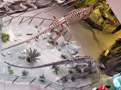 -陕西自然博物馆