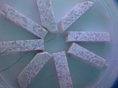 -墨脱石锅椰子鸡•香草鸭•东山羊(大东海店)