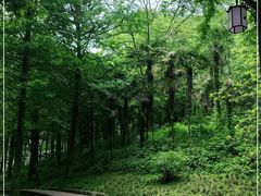 -青城山