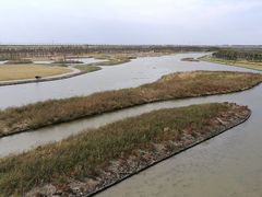 -春花秋色城市公园