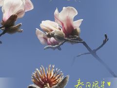 -东华门大街小区
